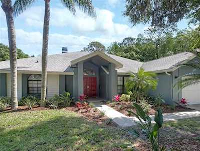 777 Centerwood Dr Tarpon Springs, FL 34688