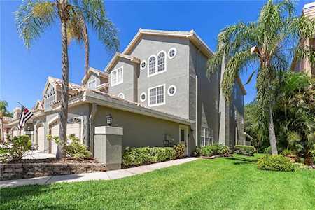 1676 Arabian Ln Palm Harbor, FL 34685