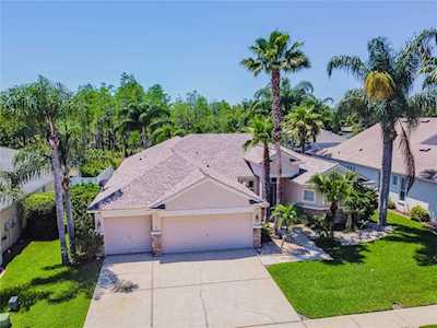 1509 Kish Blvd Trinity, FL 34655