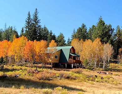 80 N Pinetree Trl Duck Creek Village, UT 84762