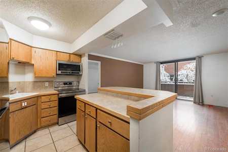 1301 Speer Blvd #202 Denver, CO 80204