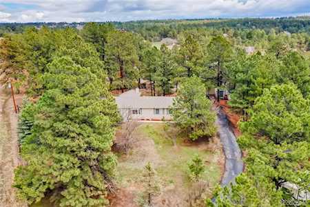 11388 Ponderosa Ln Franktown, CO 80116