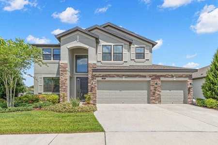8148 Mallow Mirror Ln Land O Lakes, FL 34637
