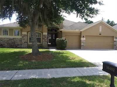 16402 Ivy Lake Dr Odessa, FL 33556