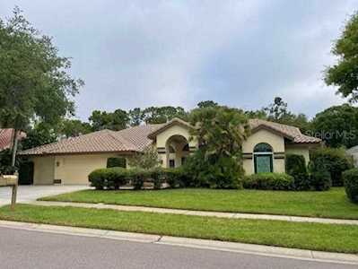4047 Carlyle Lakes Blvd Palm Harbor, FL 34685