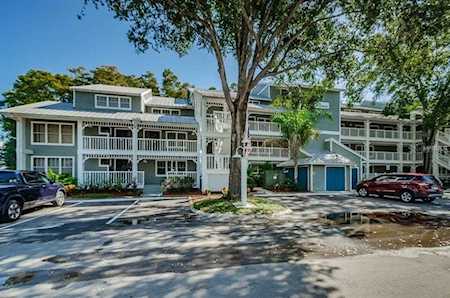 2577 Dolly Bay Dr #307 Palm Harbor, FL 34684
