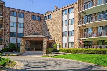 250 W Parliament Place #211 Mount Prospect, IL 60056