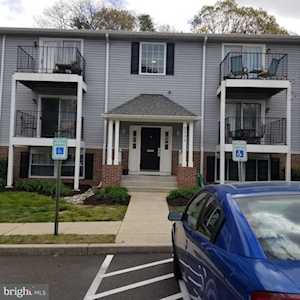 3501 Davenport Ct #M Pasadena, MD 21122