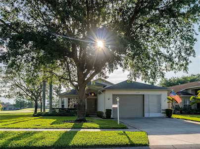1438 Hickory Moss PLACE Trinity, FL 34655