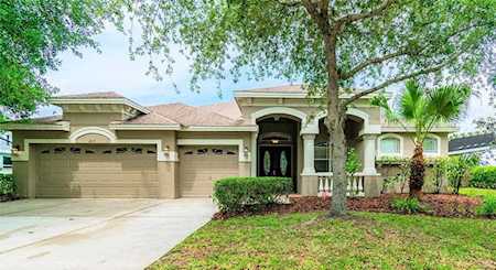 6615 Thornton Palms Dr Tampa, FL 33647