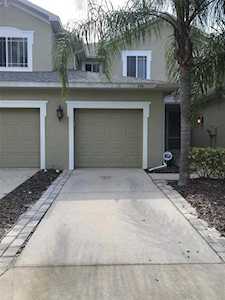554 Harbor Ridge Dr Palm Harbor, FL 34683