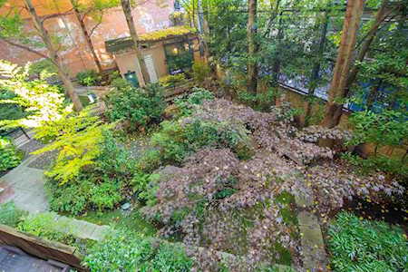 22 E Cordova Street #217 Vancouver, BC V6A 4G8