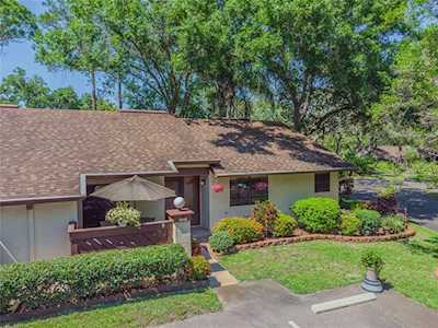 4048 Diamond Leaf Ct Palm Harbor, FL 34684