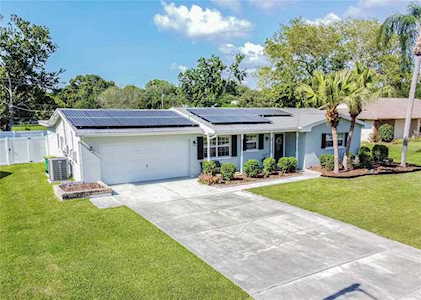 1664 Palmwood Dr Clearwater, FL 33756