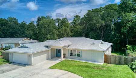 2833 Longleaf Ln Palm Harbor, FL 34684
