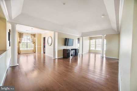 8605 Wandering Fox Trl #303 Odenton, MD 21113