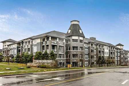 25 Auburn Meadows Ave SE #237 Calgary, AB T3M 2L3