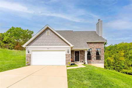 987 San Luis Dr Fenton, MO 63026