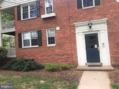 6500 Potomac Ave #A1 Alexandria, VA 22307