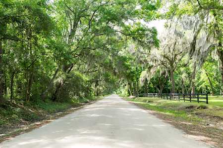2089 Leadenwah Dr Wadmalaw Island, SC 29487