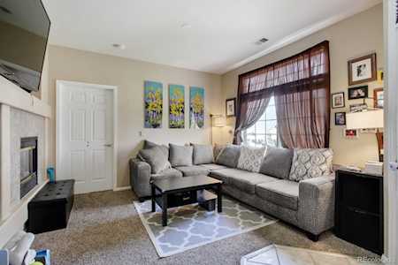494 Black Feather Loop #104 Castle Rock, CO 80104