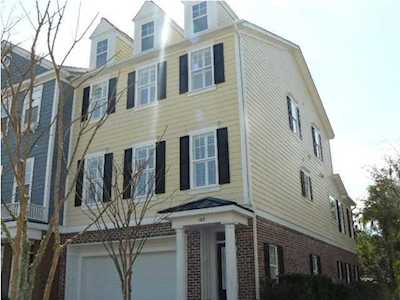 163 Palm Cove Way Mount Pleasant, SC 29466