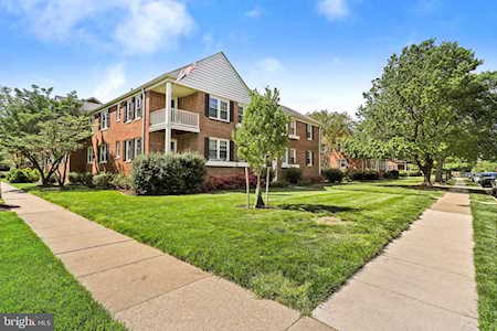 6618 Wakefield Dr #B1 Alexandria, VA 22307