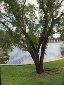 7910 N Colony Circle #202 Tamarac, FL 33321