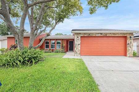 1820 Willow Oak Dr Palm Harbor, FL 34683