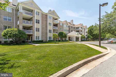 215 Belmont Forest Ct #202 Lutherville Timonium, MD 21093