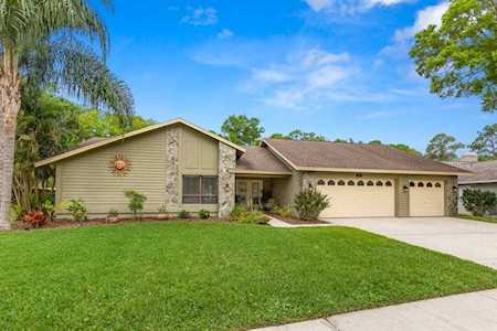 3066 Edgemoor Dr Palm Harbor, FL 34685