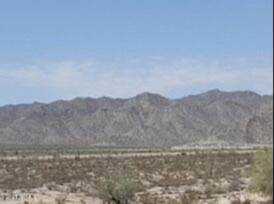 20039 W Medlock Drive #213 Litchfield Park, AZ 85340