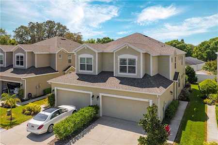 519 Harbor Springs Dr Palm Harbor, FL 34683