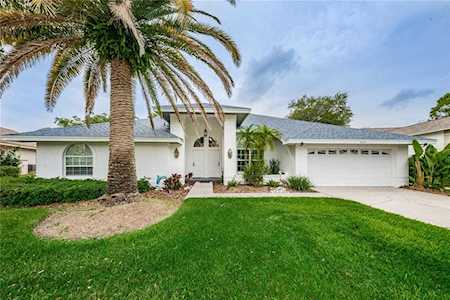 904 Belted Kingfisher Dr S Palm Harbor, FL 34683