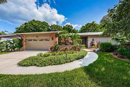 1412 Treetop Dr Palm Harbor, FL 34683