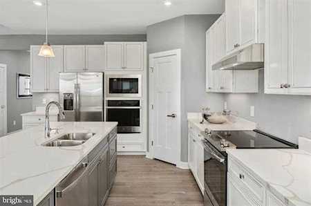 31365 Barefoot Circle Harbeson, DE 19966