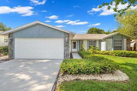1646 Castlewood Ln Palm Harbor, FL 34683
