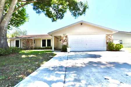 507 Hammock Dr Palm Harbor, FL 34683