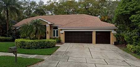 381 Old Oak CIRCLE Palm Harbor, FL 34683