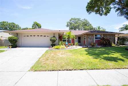 1050 Forest Grove Blvd Palm Harbor, FL 34683