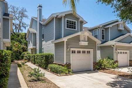 553 Vista Trail Ct Palm Harbor, FL 34683
