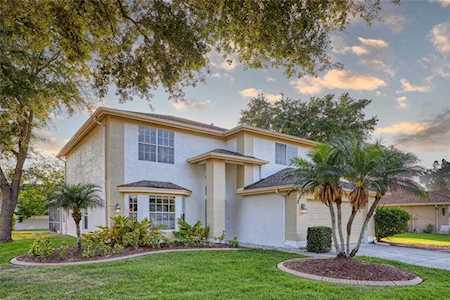 1744 Eagle Trace Blvd Palm Harbor, FL 34685