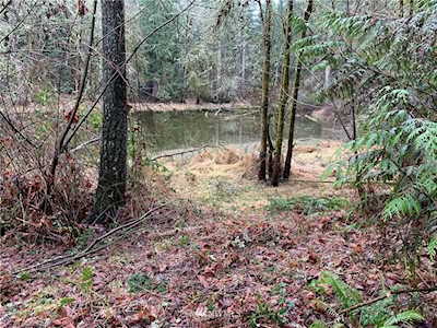 17920 Pondside Ct SE Yelm, WA 98597