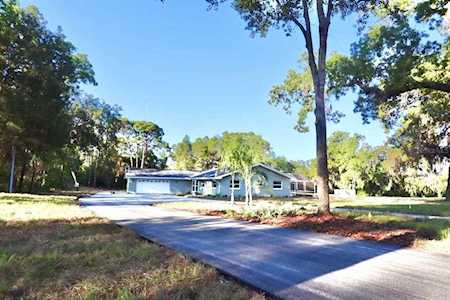 7806 Gunshot Ln New Port Richey, FL 34654