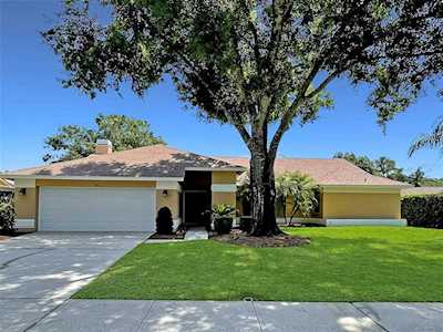 3163 Glenridge Dr Palm Harbor, FL 34685