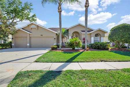4333 Ridgemoor Dr N Palm Harbor, FL 34685
