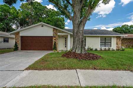 15709 Warbler PLACE Tampa, FL 33624
