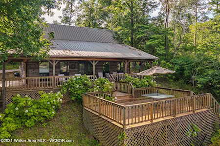 110 Yellow Creek Dr Houston, AL 35572