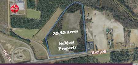 33.23 Ac Highway 905 Conway, SC 29526