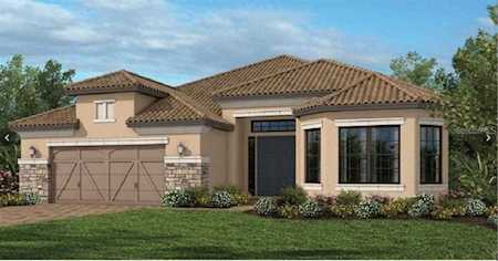 11096 Egeria Dr Odessa, FL 33556